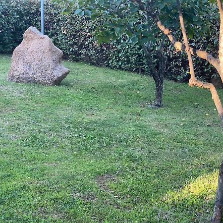 Bed&Breakfast Li Paduli Alvi Cannigione Exterior foto