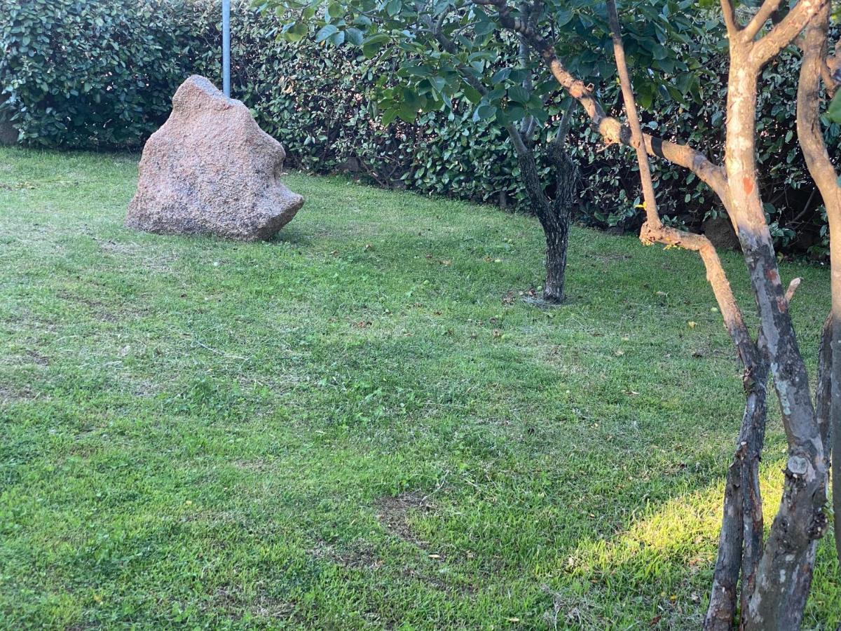 Bed&Breakfast Li Paduli Alvi Cannigione Exterior foto